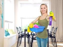 domestic cleaning company