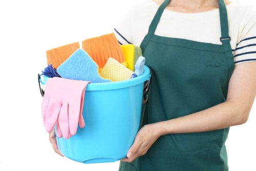 Professional end of tenancy cleaners introducing the company and its service focus