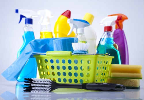 Cleaner inspecting a property for hazards before starting work