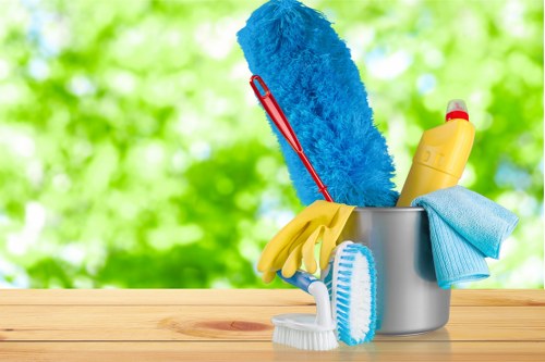 Accessible cleaning website illustration for Endoftenancy Cleaners