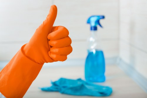 Inclusive website support for Endoftenancy Cleaners users