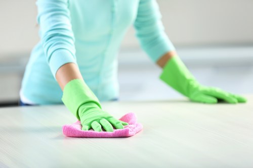 End of tenancy cleaner deep cleaning a property for move out