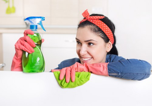 Kitchen deep cleaning during end of tenancy