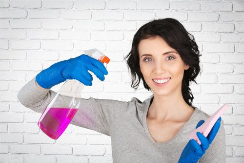 Professional cleaning of bathroom fixtures and glass