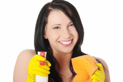 Kitchen cleaning detail placeholder